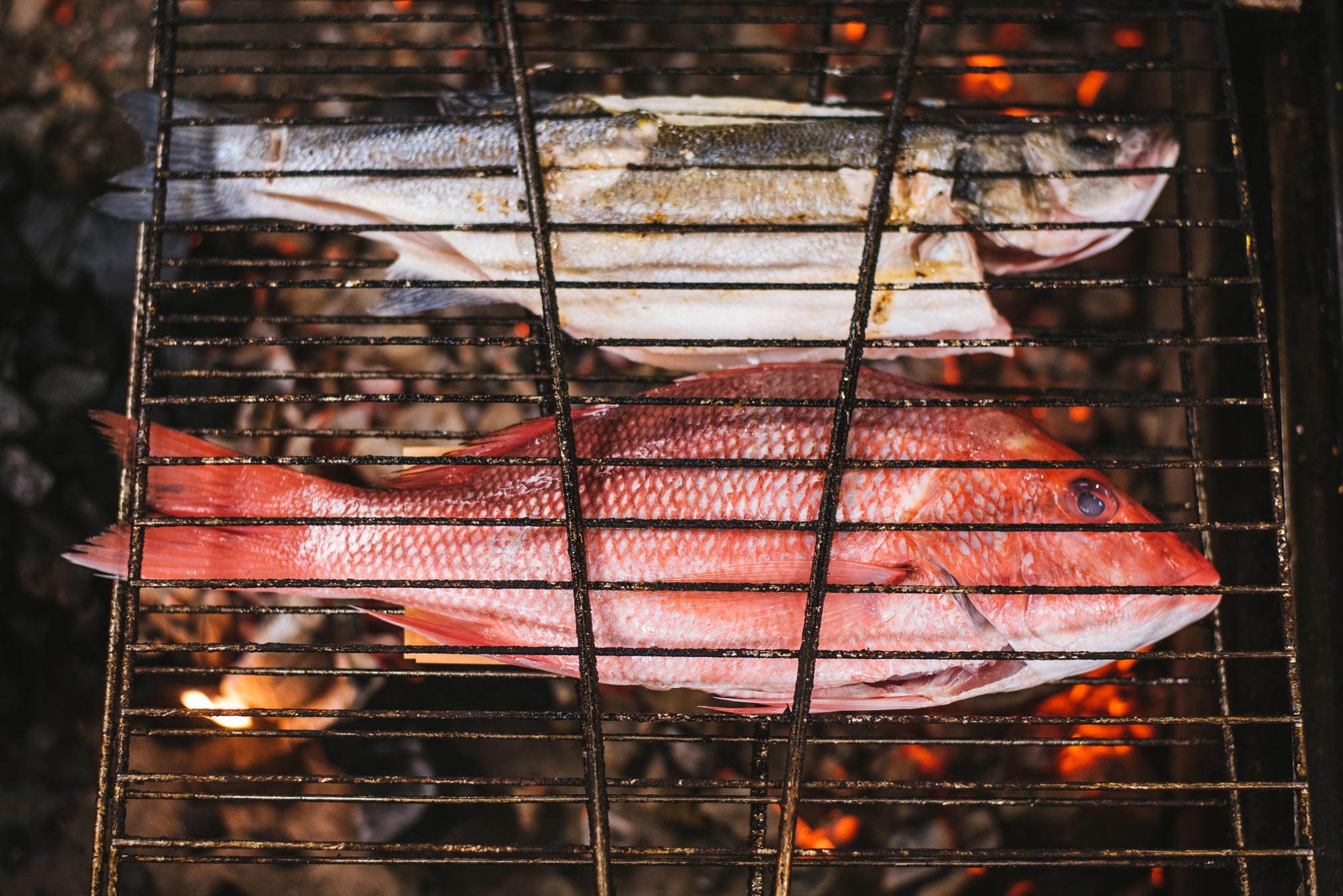 Grilled Fish