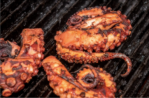 Octopus